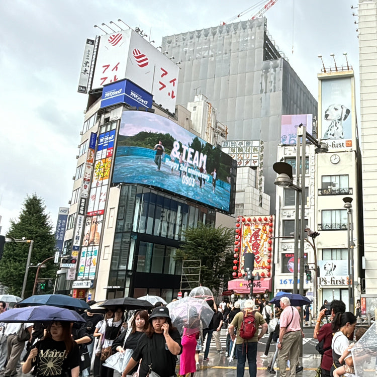 【&TEAM】cross新宿vision 應援廣告案例（2024/09）