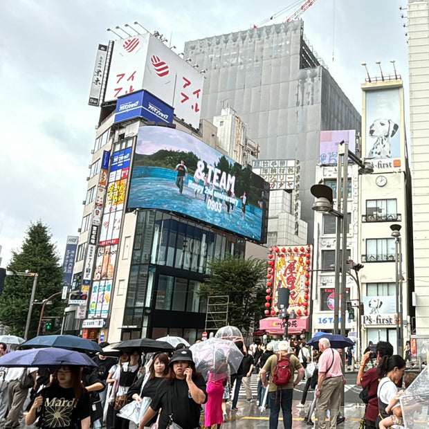 【&TEAM】cross新宿vision 應援廣告案例（2024/09）