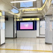 【名古屋站、荣站】ChikaVision（7面组套）