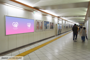 [Jr Ikebukuro Station] B0/B1海報