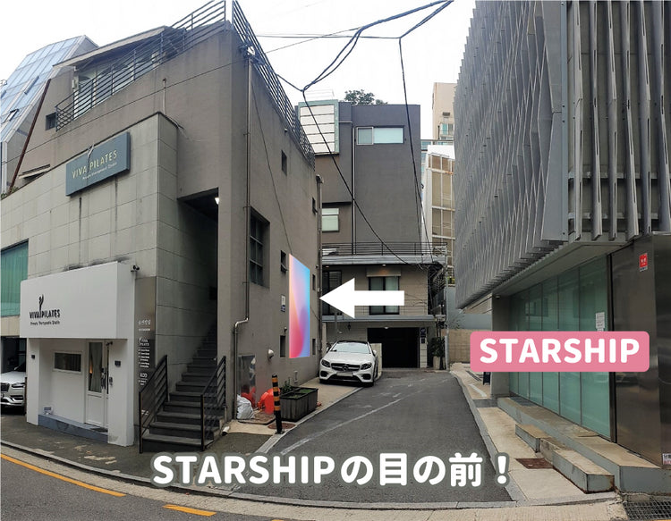 starship2_750x.png.jpg?v=